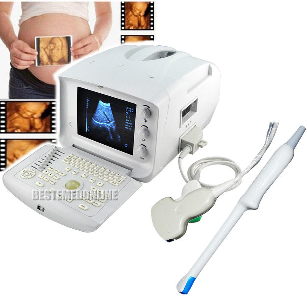 Laptop 10'' LCD Digital Ultrasound Scanner System +Convex +Transvaginal Probe CE 190891807977 DIAGNOSTIC ULTRASOUND MACHINES FOR SALE