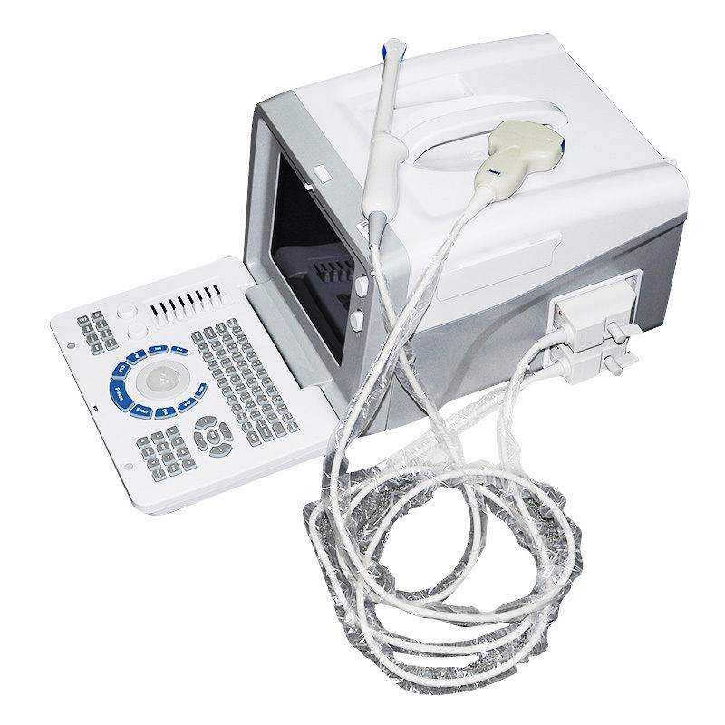 Profession Digital Ultrasound Scanner Convex Probe 3D software Optional Linear 190891927064 DIAGNOSTIC ULTRASOUND MACHINES FOR SALE