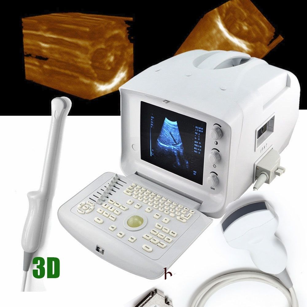 Free 3D Digital Ultrasound Scanner Machine Convex /Curve Vignial 2 probes USB 190891933249 DIAGNOSTIC ULTRASOUND MACHINES FOR SALE