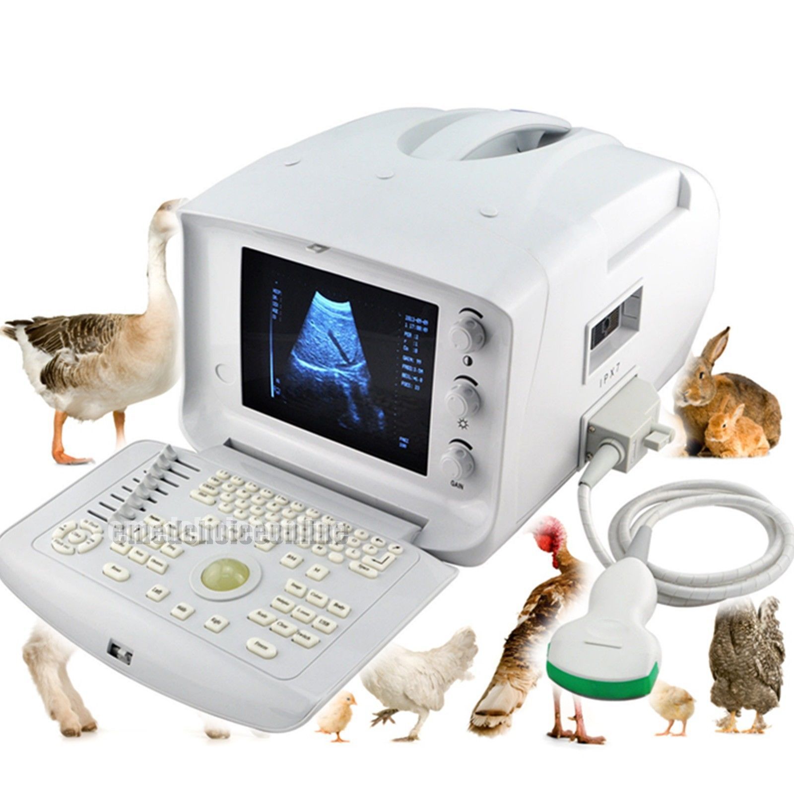 Free 3D Veterinary Digital Ultrasound Scanner 3.5Mhz Convex Probe Vet Medical CE 190891465429 DIAGNOSTIC ULTRASOUND MACHINES FOR SALE