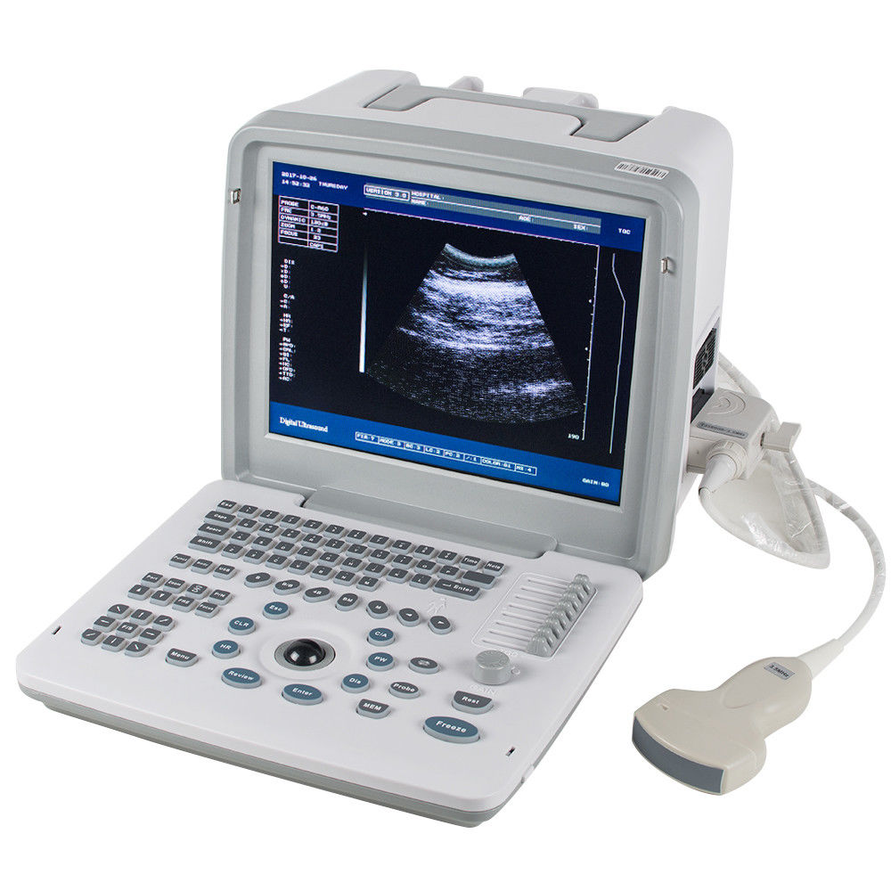 CE Veterinary Animals Ultrasound Scanner/Machine System + Linear Probe Livestock DIAGNOSTIC ULTRASOUND MACHINES FOR SALE