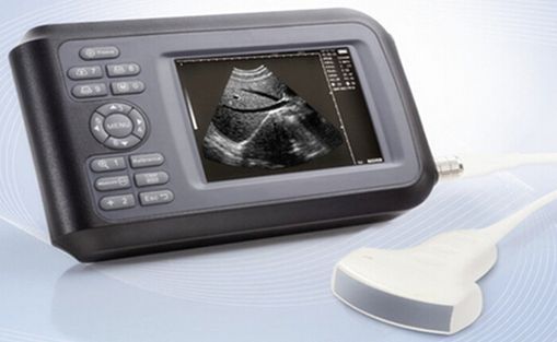 Portable HandScan 5.5'' Digital Ultrasound Scanner Machine+Convex Probe+Oximeter 190891400826 DIAGNOSTIC ULTRASOUND MACHINES FOR SALE
