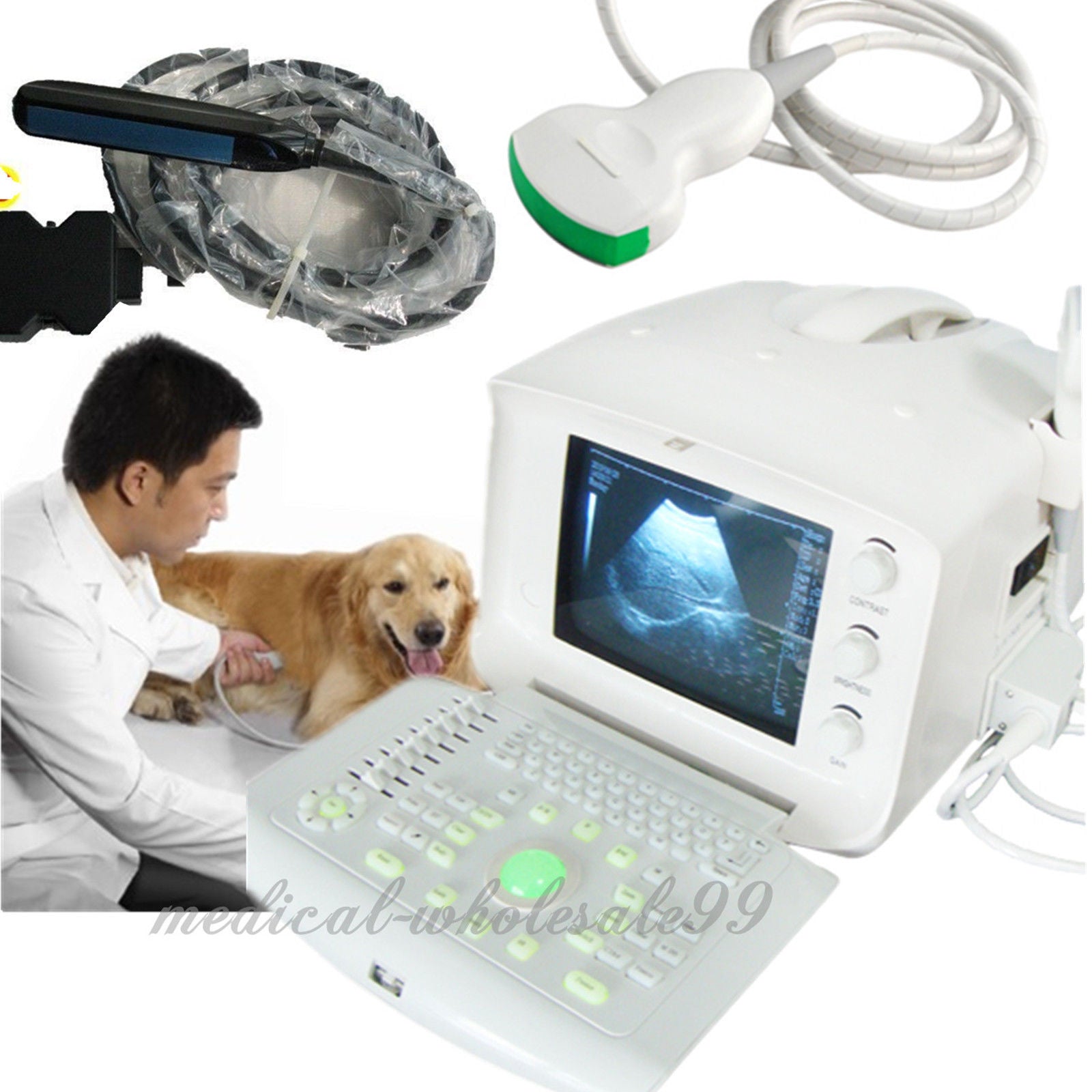 Vet Ultrasound Scanner/Machine Convex+Vet Rectal Probes Animals Pregnancy 3D 190891815767 DIAGNOSTIC ULTRASOUND MACHINES FOR SALE