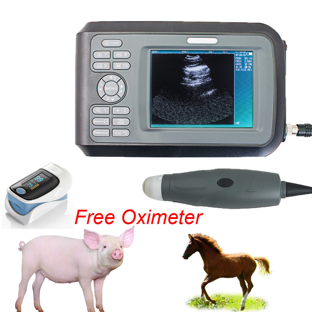 Veterinary Ultrasound Scanner Handscan Rectal Probe For Pig Sheep Dog +Oximeter 190891468284 DIAGNOSTIC ULTRASOUND MACHINES FOR SALE