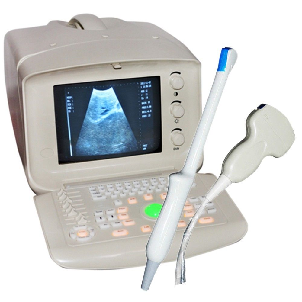 NEW +3D Diagnostic Ultrasound Scanner convex +linear two probes Test A Class Kit 190891566379 DIAGNOSTIC ULTRASOUND MACHINES FOR SALE