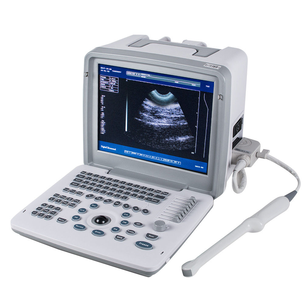 Digital Portable Ultrasound Scanner Machine + Convex & Transvaginal 2 Probe UPS! 190891524485 DIAGNOSTIC ULTRASOUND MACHINES FOR SALE