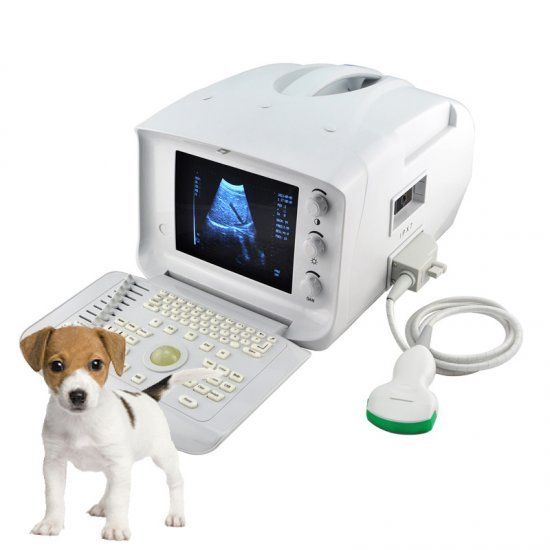 Portable Vet/Animal Ultrasonic Ultrasound Scanner Convex Rectal Probes Free 3D 190891919021 DIAGNOSTIC ULTRASOUND MACHINES FOR SALE