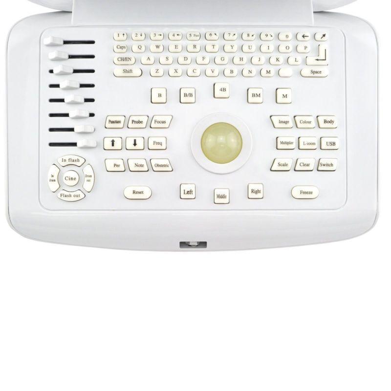 Laptop 10'' LCD Digital Ultrasound Scanner System +Convex +Transvaginal Probe CE 190891807977 DIAGNOSTIC ULTRASOUND MACHINES FOR SALE