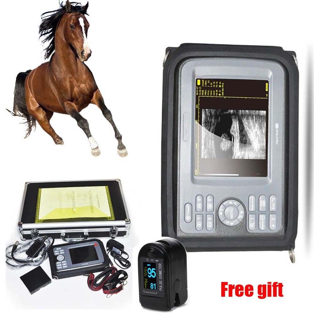 Veterinary Digital Ultrasound Scanner Machine+ Animal Rectal Probe+ Case Sale 190891380173 DIAGNOSTIC ULTRASOUND MACHINES FOR SALE