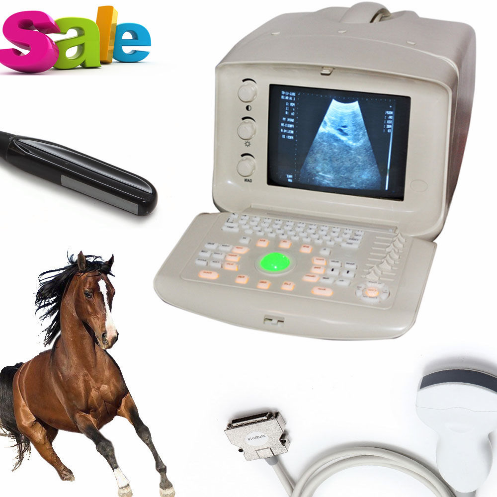Portable Vet/Animal Ultrasonic Ultrasound Scanner Convex Rectal Probes Free 3D 190891919021 DIAGNOSTIC ULTRASOUND MACHINES FOR SALE