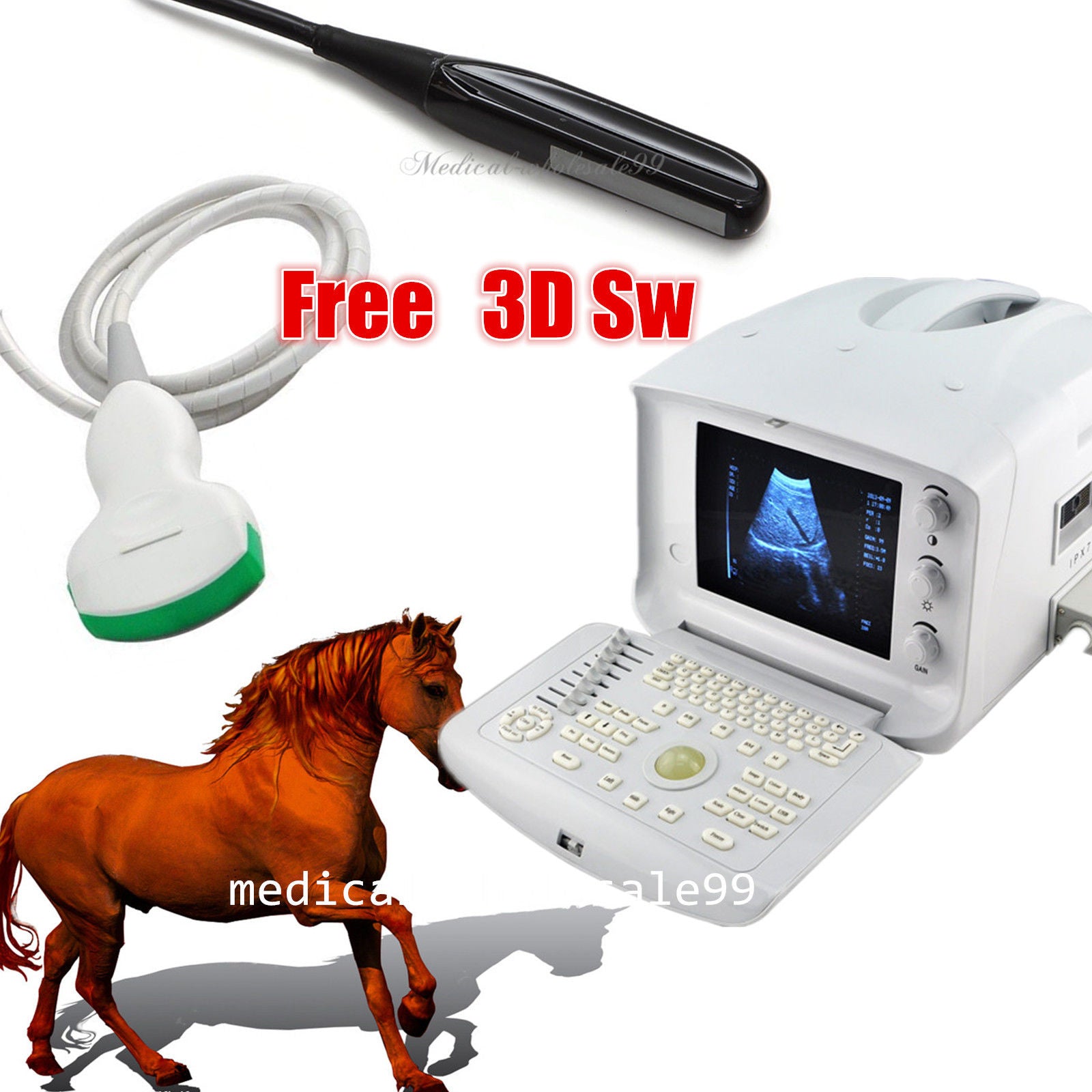 Portable Vet/Animal Ultrasonic Ultrasound Scanner Convex Rectal Probes Free 3D 190891919021 DIAGNOSTIC ULTRASOUND MACHINES FOR SALE