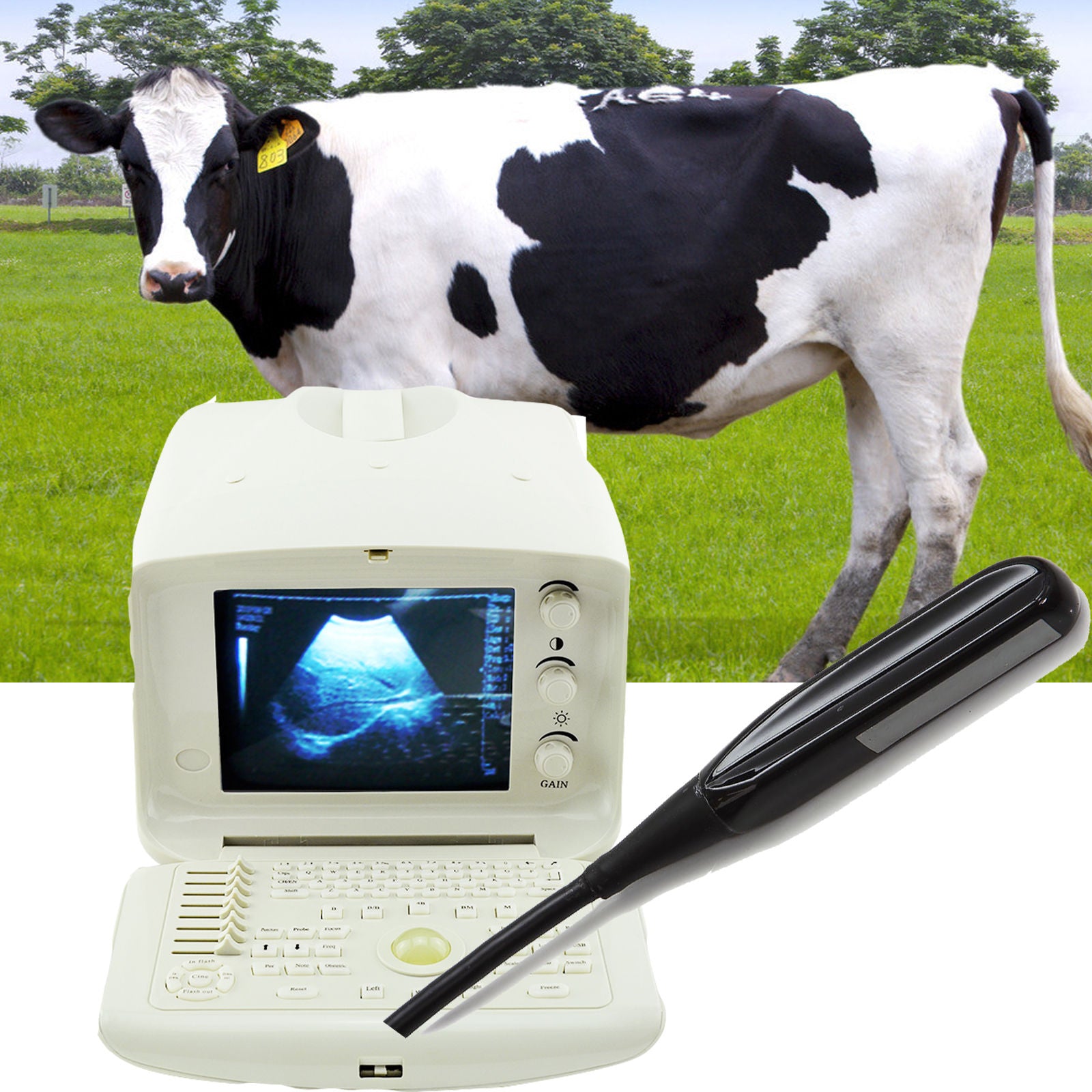 Portable Veterianry Animal Ultrasound Scanner machine 6.5Mhz Rectal Probe 3D CE 190891582799 DIAGNOSTIC ULTRASOUND MACHINES FOR SALE