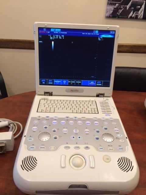 Esaote MyLab Five Portable Ultrasound machine including 2 probes DIAGNOSTIC ULTRASOUND MACHINES FOR SALE