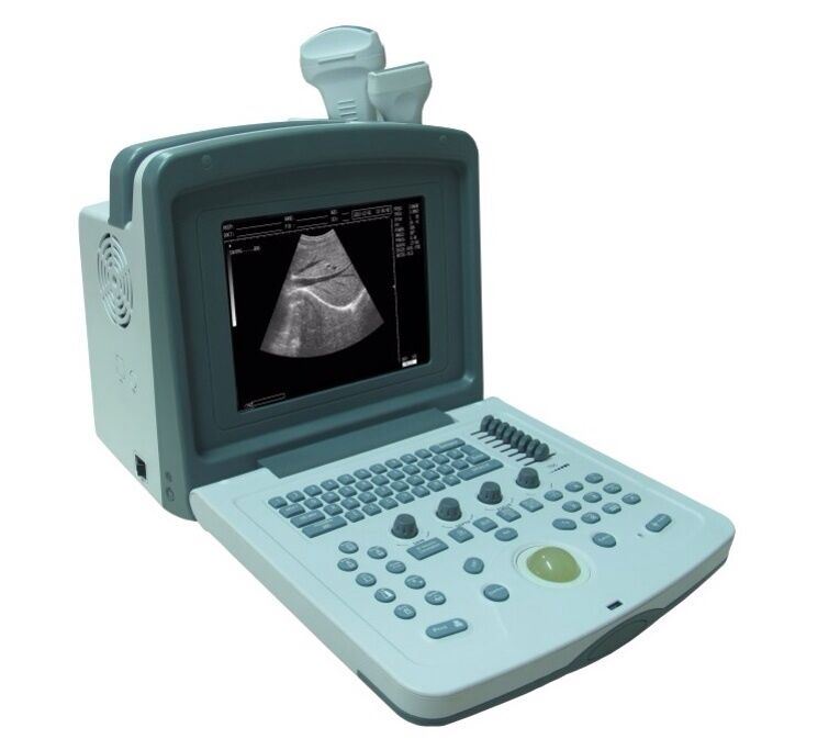 Veterinary Bovine Equine Ultrasound Scanner & One Endorectal Probe & Warranty DIAGNOSTIC ULTRASOUND MACHINES FOR SALE