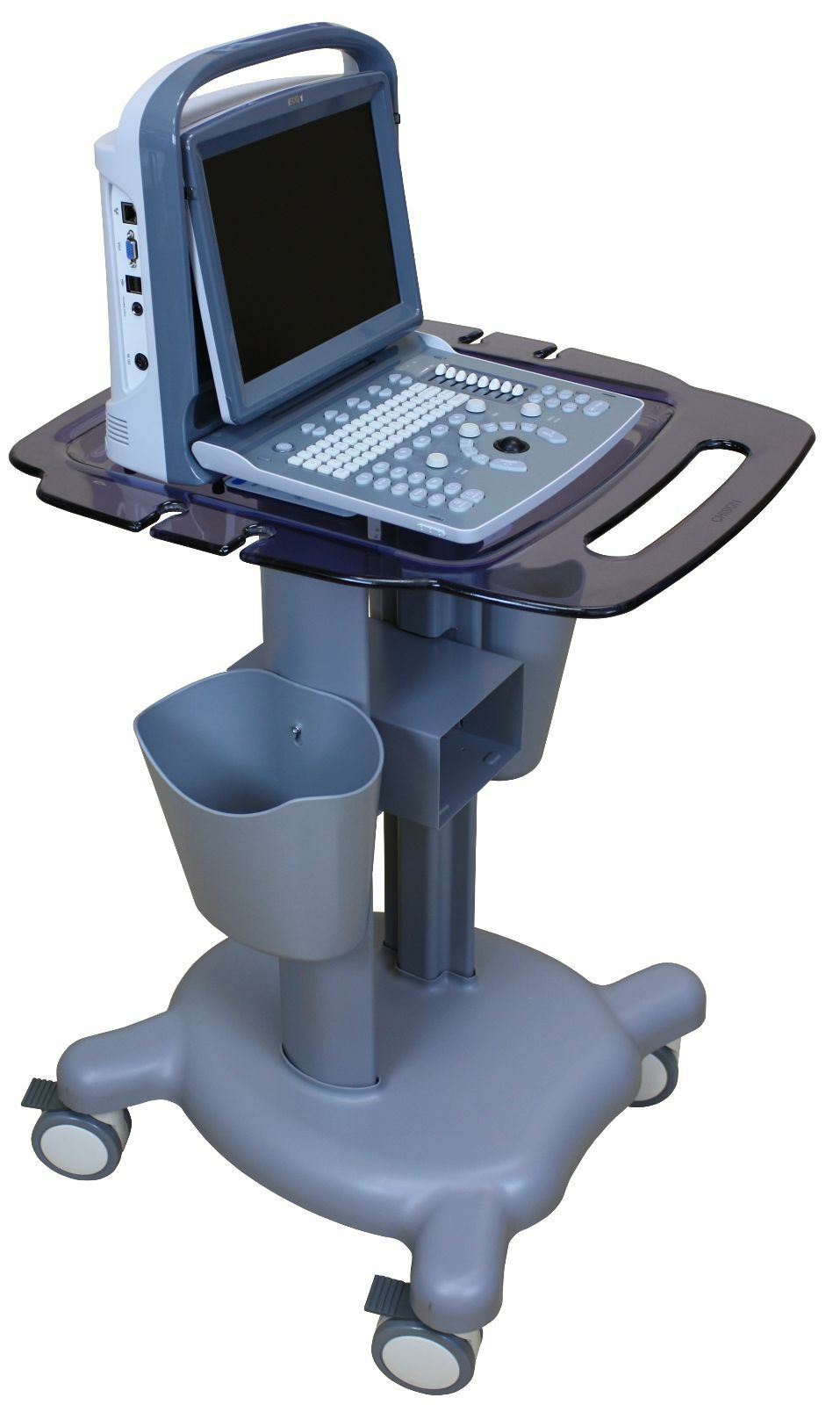 Color Doppler Vascular Ultrasound Scanner with Two Probes, Battery - Chison ECO5 DIAGNOSTIC ULTRASOUND MACHINES FOR SALE