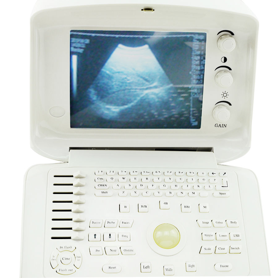 Vet 10.1Inch LCD Ultrasound Scanner System + convex & Rectal probes Veterinary 190891974280 DIAGNOSTIC ULTRASOUND MACHINES FOR SALE