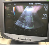 GE Kretz Voluson Expert or Pro RAB4-8P Ultrasound Probe
