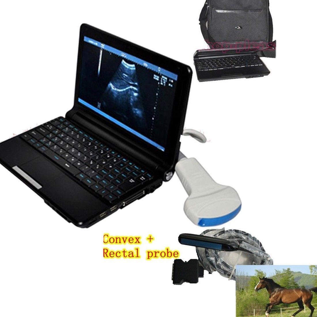 Vet Animal Veterinary Ultrasound Scanner Machine Convex + Rectal Probe 3D Sheep 190891941893 DIAGNOSTIC ULTRASOUND MACHINES FOR SALE