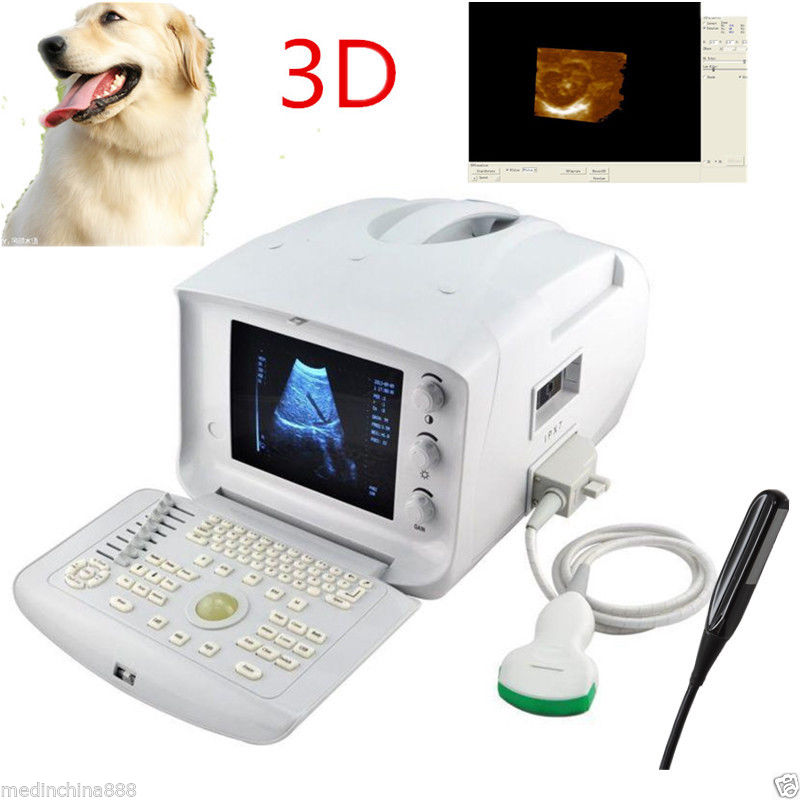 Vet Veterianry Ultrasound Scanner Monitor 3.5 Convex + 6.5Mhz Rectal Probes 3D DIAGNOSTIC ULTRASOUND MACHINES FOR SALE