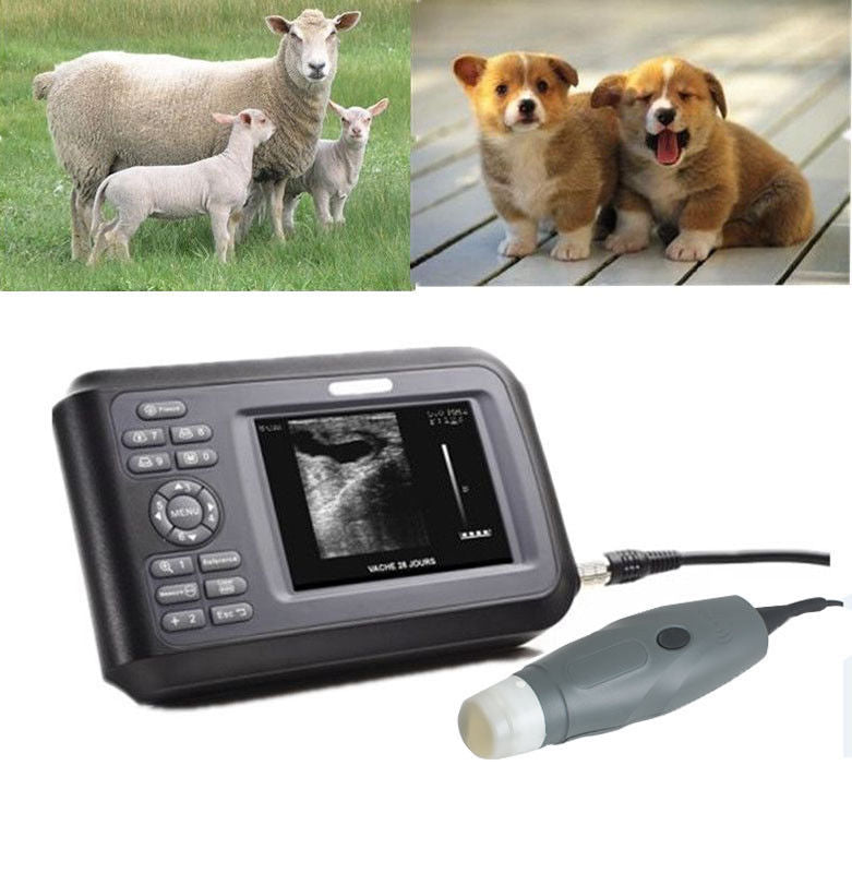 Veterinary Ultrasound Scanner Portable Machine Rectal Probe Pig Dog Pregnancy 190891468284 DIAGNOSTIC ULTRASOUND MACHINES FOR SALE