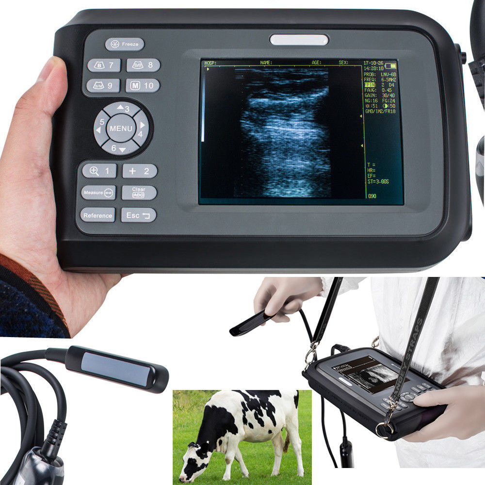 Profession Veterinary Ultrasound Scanner Machine Animals Pregnancy +Rectal Probe DIAGNOSTIC ULTRASOUND MACHINES FOR SALE