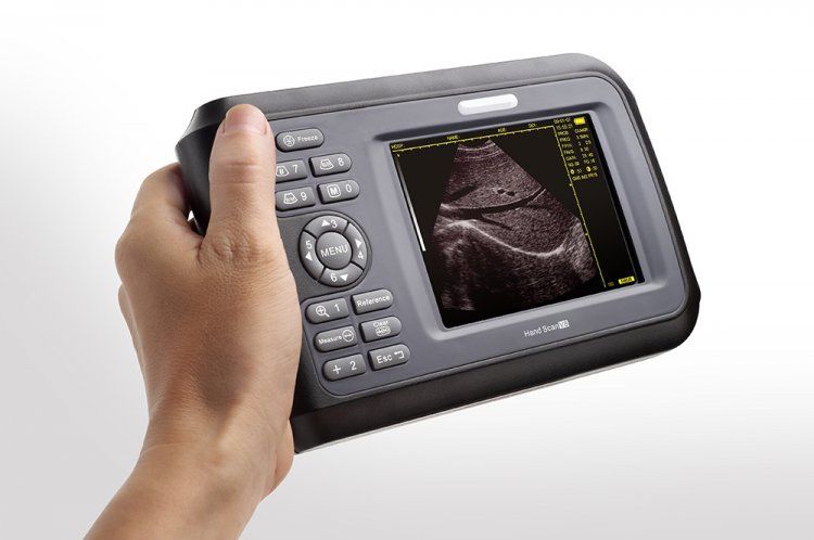 US Veterinary handheld palmtop ultrasound scanner cow/horse/Animal Rectal 6.5MHZ DIAGNOSTIC ULTRASOUND MACHINES FOR SALE