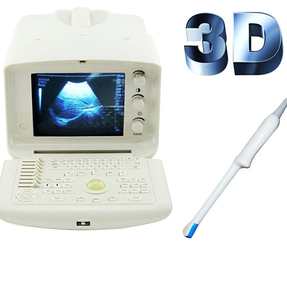 Transvaginal Machine Portable Machine Digital Ultrasound Scanner Transvaginal Probe 3D
