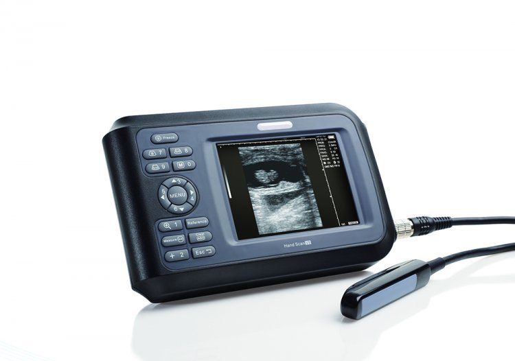 CE Veterinary handheld palmtop ultrasound scanner Animal Livestock Rectal 6.5MHZ DIAGNOSTIC ULTRASOUND MACHINES FOR SALE