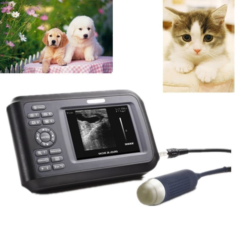 Portable Veterinary/VET  Ultrasound Scanner Rectal Probe For Pig Dog Pregnancy 190891468284 DIAGNOSTIC ULTRASOUND MACHINES FOR SALE