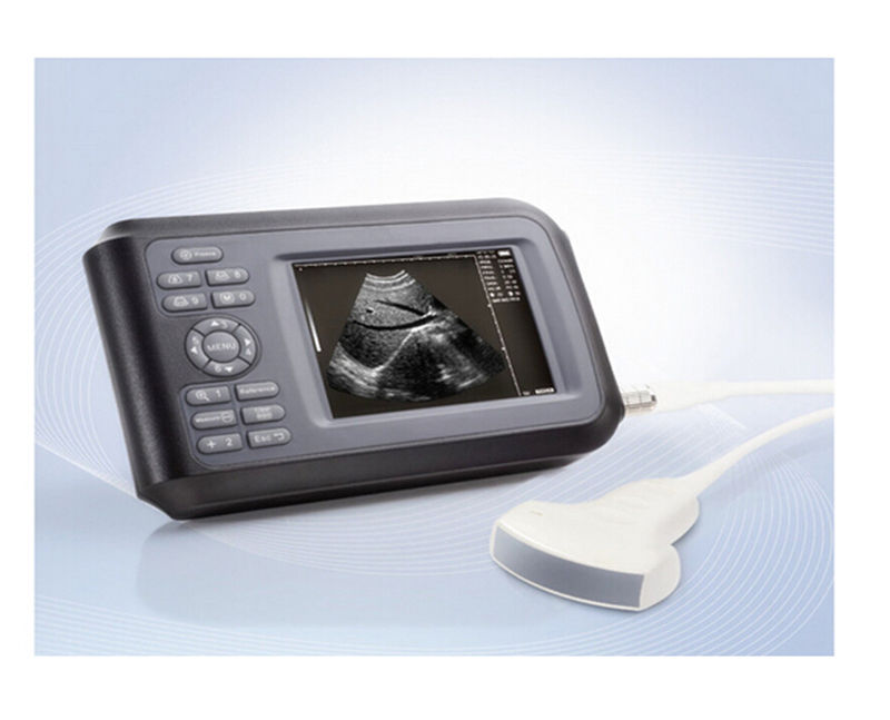 5.5 " Handheld Ultrasound Scanner/Machine Digital Convex Probe &Gift For Human 190891299192 DIAGNOSTIC ULTRASOUND MACHINES FOR SALE
