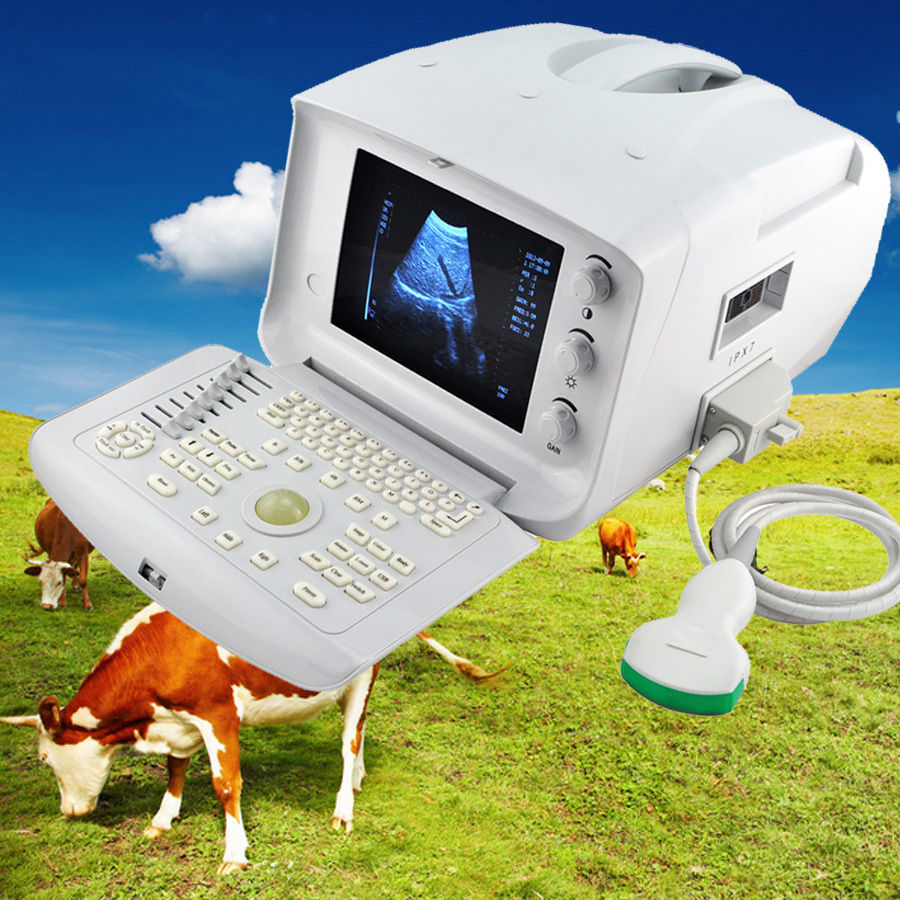 Portable Ultrasound Machine Scanner + convex probe+Free 3D Veterinary +Oximeter 190891046604 DIAGNOSTIC ULTRASOUND MACHINES FOR SALE