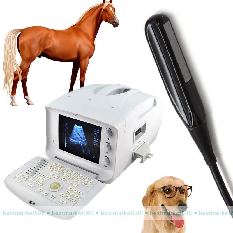New Portable Vet Veterinary Ultrasound Scanner Machine + Rectal Probe Free 3D A+ 190891826916 DIAGNOSTIC ULTRASOUND MACHINES FOR SALE