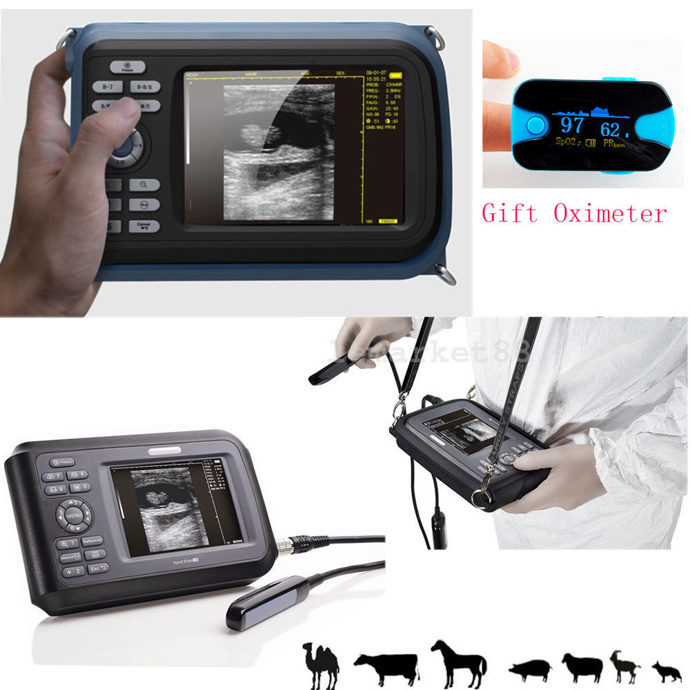 USA! Veterinary handheld ultrasound scanner Animal Rectal Probe+ Oximeter Clinic DIAGNOSTIC ULTRASOUND MACHINES FOR SALE