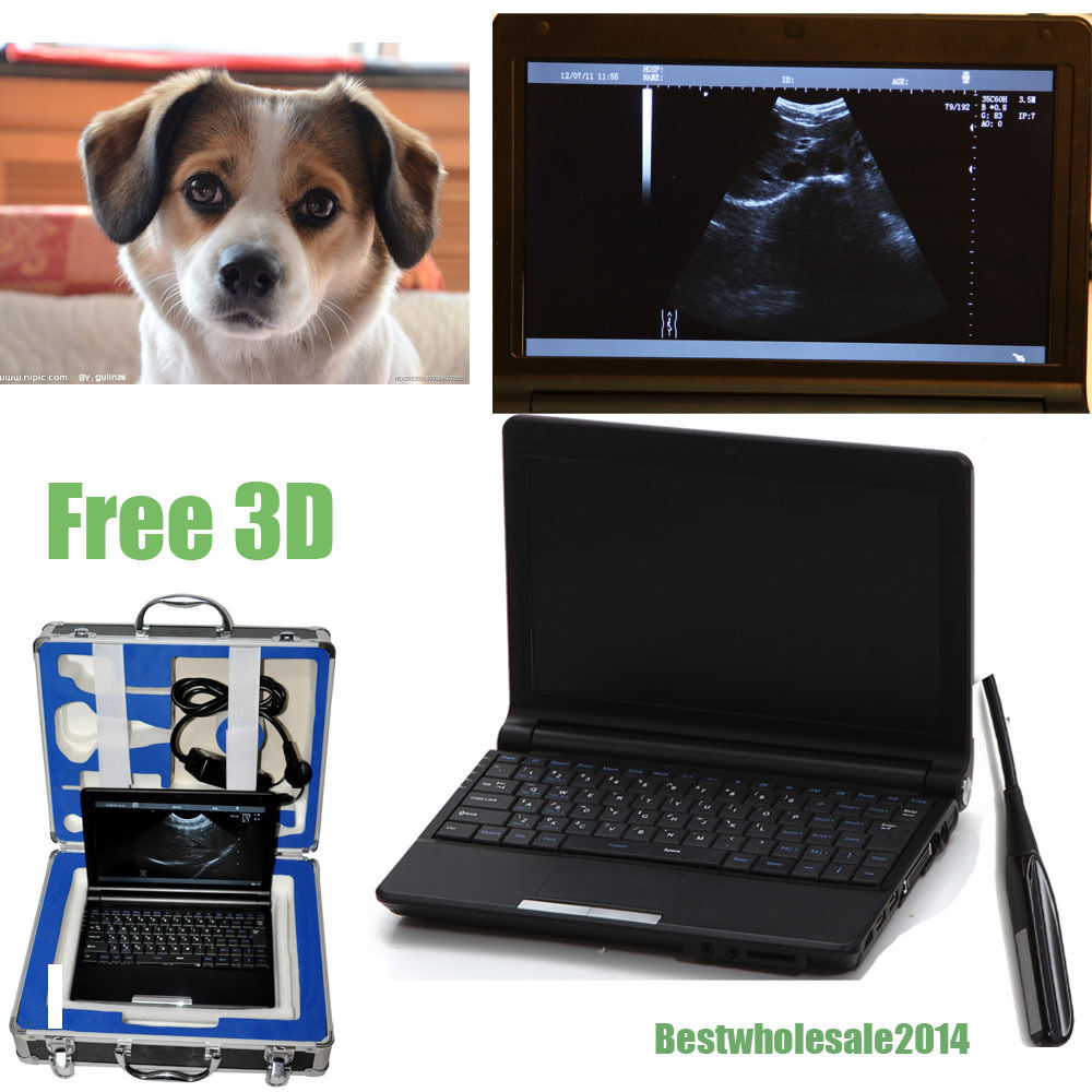 veterinary Laptop Vet Ultrasound Scanner Machine  Animal Rectal probe 3D Sale 190891379269 DIAGNOSTIC ULTRASOUND MACHINES FOR SALE