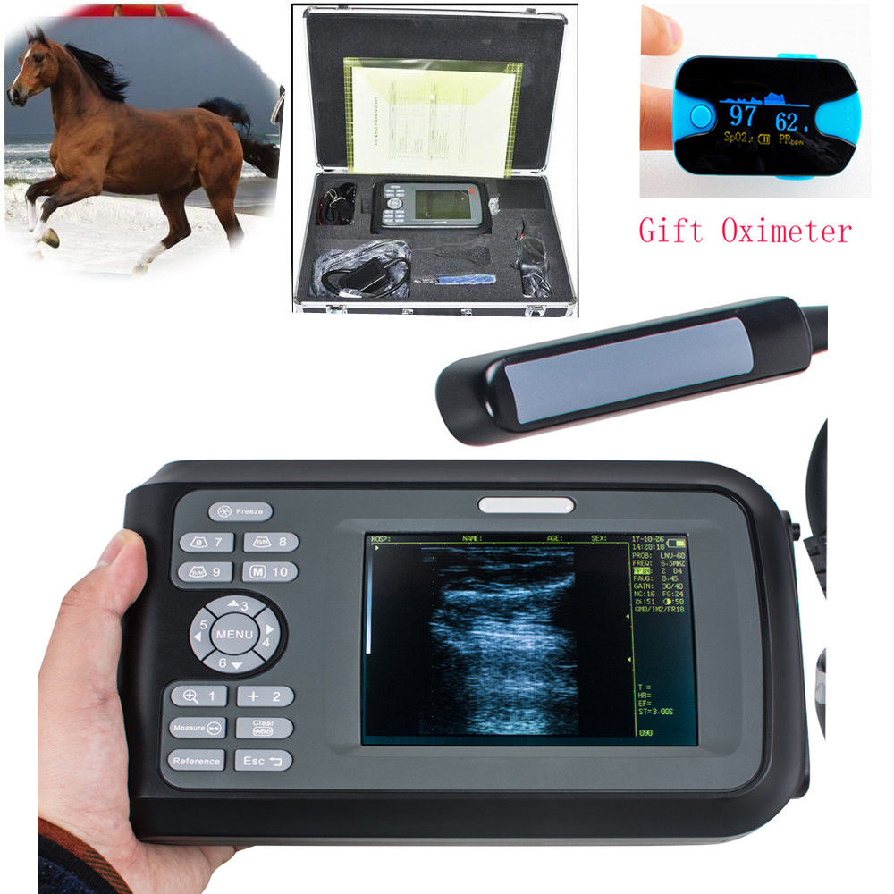 Veterinary VET Ultrasound Scanner Machine Animal Rectal Probe + Oximeter Horses 190891057464 DIAGNOSTIC ULTRASOUND MACHINES FOR SALE