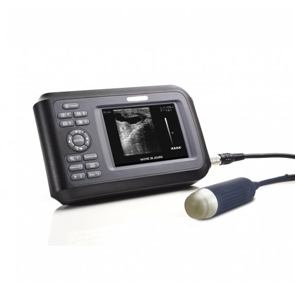 USA! Veterinary Ultrasound Scanner Handscan Probe For Farm Animal Pig Pregnancy DIAGNOSTIC ULTRASOUND MACHINES FOR SALE