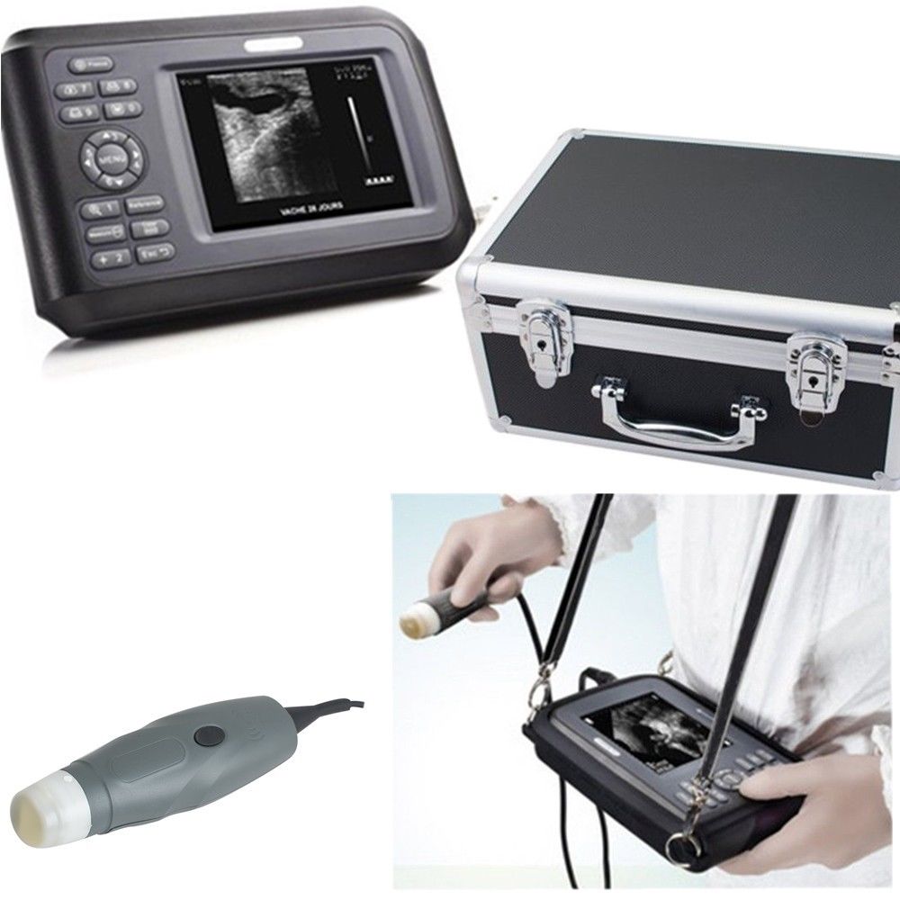 USA Veterinary PET Hospital Pad Ultrasound Scanner Machine Animal Probe + Case 190891045768 DIAGNOSTIC ULTRASOUND MACHINES FOR SALE