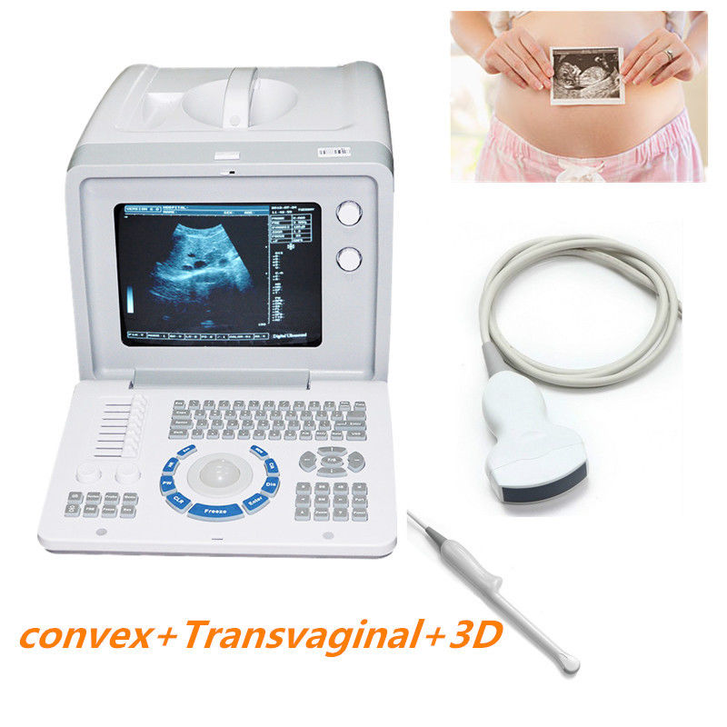 Hot Digital Ultrasound Scanner Instrument Convex+Transvaginal Probe+3D Software 190891814081 DIAGNOSTIC ULTRASOUND MACHINES FOR SALE