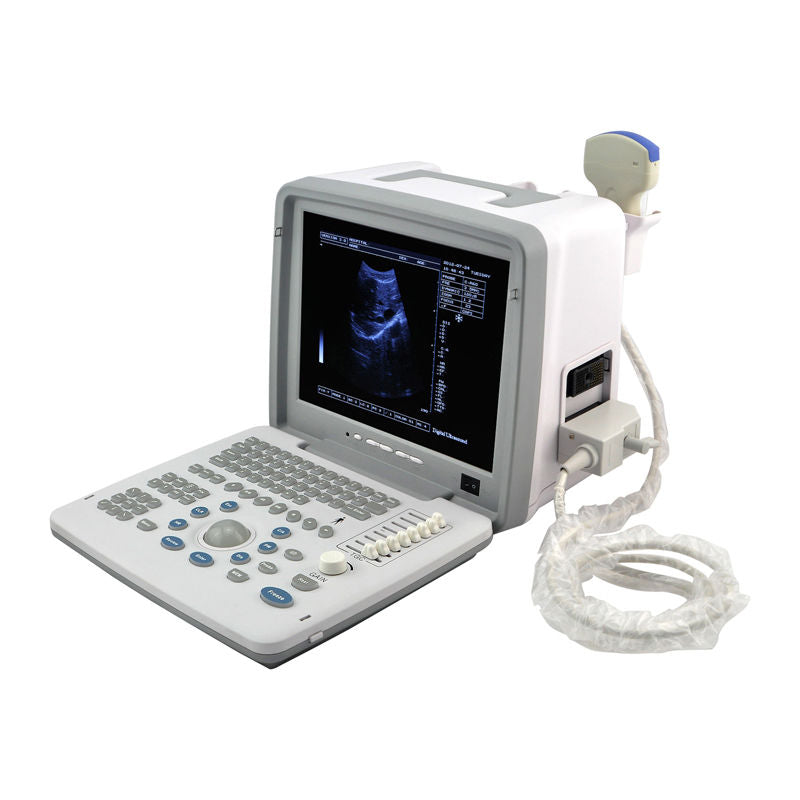 Top LED Full Digital *3D Ultrasound Scanner Machine Convex&Transvaginal 2 Probe DIAGNOSTIC ULTRASOUND MACHINES FOR SALE