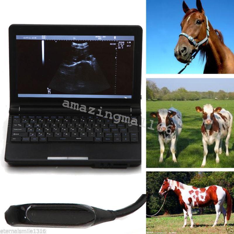 Veterinary vet Full Digital Laptop Ultrasound Scanner 5.0 Rectal Probe  3D Sale 190891462251 DIAGNOSTIC ULTRASOUND MACHINES FOR SALE