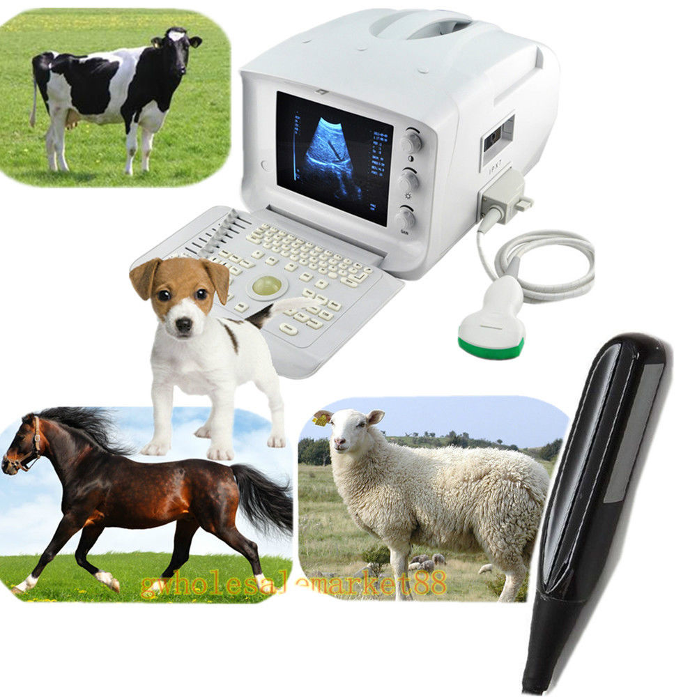 Vet Veterianry Ultrasound Scanner 3.5 Convex + 6.5Mhz Rectal probe+ 3D Farm Cow DIAGNOSTIC ULTRASOUND MACHINES FOR SALE