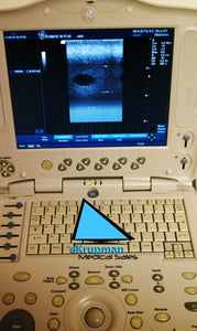 GE Ultrasound Portable Logiq Book + E8C-RS OB/GYN, 3C-RS Abdominal Transducers