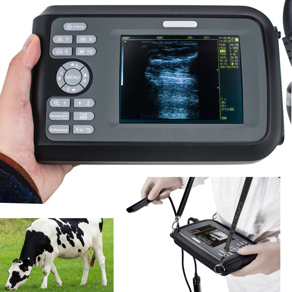 US Veterinary ultrasound scanner Machine Animal Livestock Rectal Probe Farm Cows DIAGNOSTIC ULTRASOUND MACHINES FOR SALE