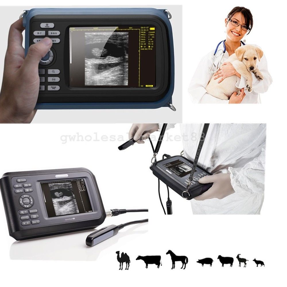 Color LCD Veterinary handheld palm ultrasound scanner Animal Rectal Probe Cows DIAGNOSTIC ULTRASOUND MACHINES FOR SALE