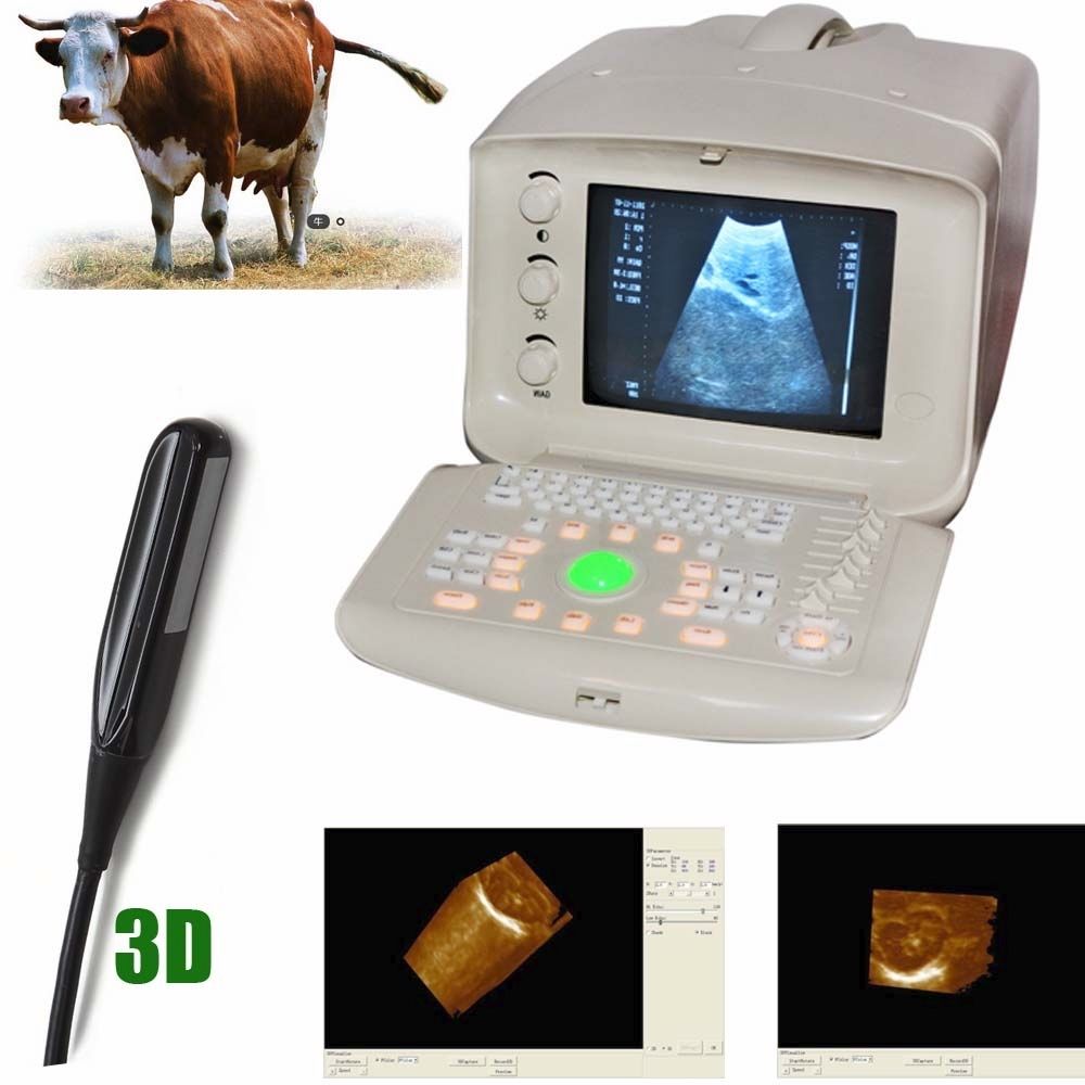 VET/Veterinary Ultrasound Scanner Machine + Rectal Probe  Probe Transducer 3D 190891786449 DIAGNOSTIC ULTRASOUND MACHINES FOR SALE
