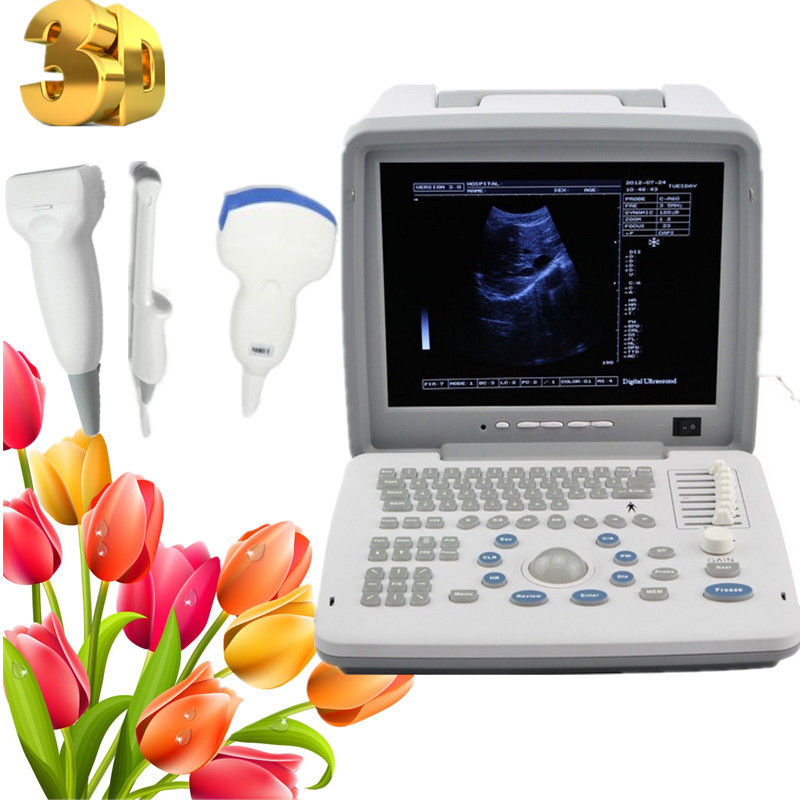 Pro Medical Ultrasound Scanner Scan Convex Linear Transvaginal Probes Pregnancy  190891506153 DIAGNOSTIC ULTRASOUND MACHINES FOR SALE