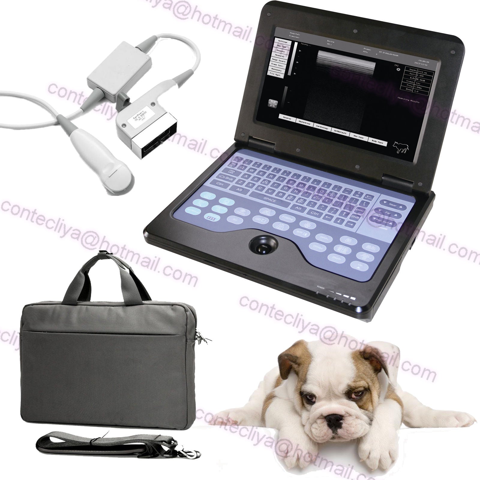 Veterinary Laptop Ultrasound Scanner Machine VET 3.5 Micro Convex Probe,Cat/Dog 658126923446 DIAGNOSTIC ULTRASOUND MACHINES FOR SALE