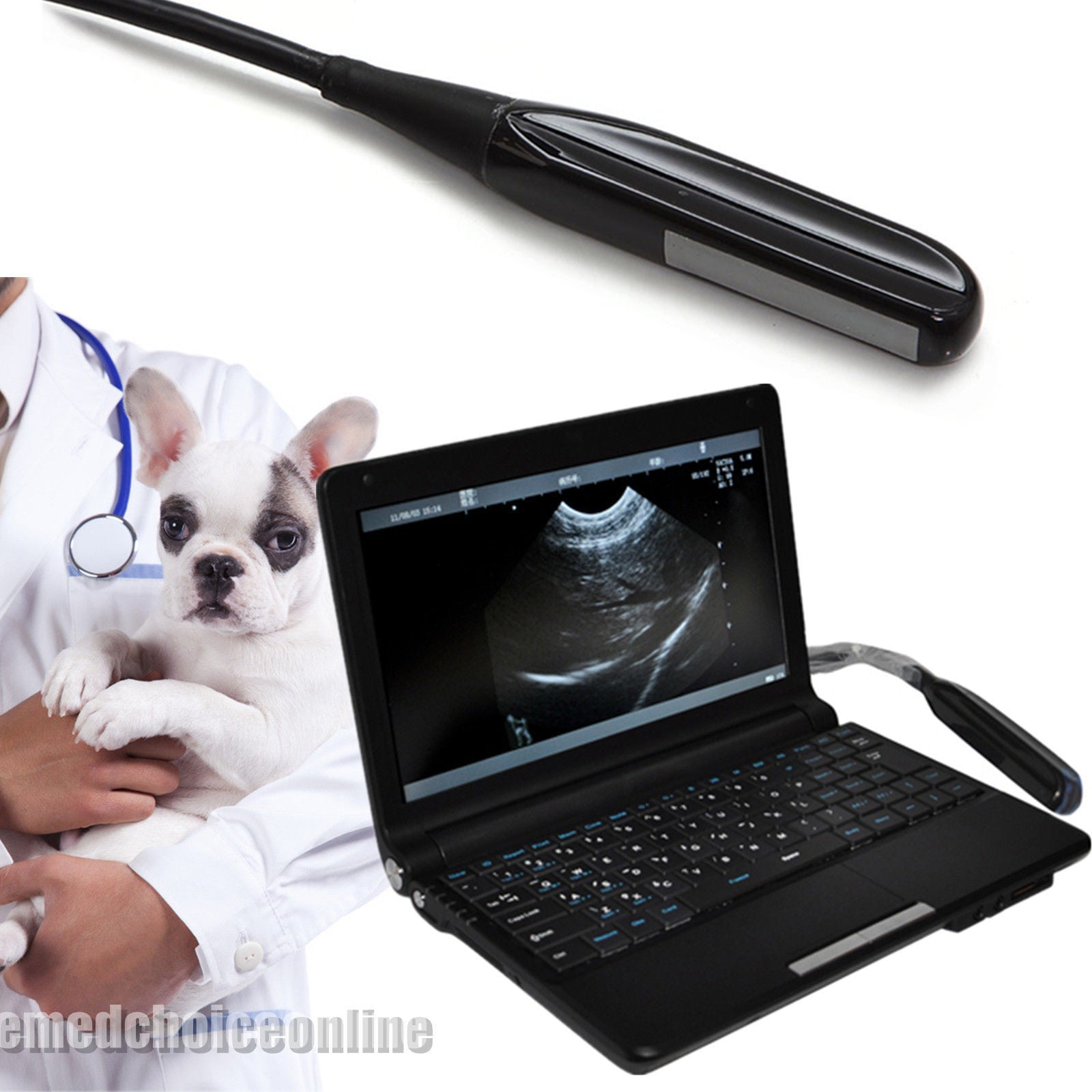 Laptop Animals Veterinary Ultrasound Scanner Machine + 3D Software Rectal Probe DIAGNOSTIC ULTRASOUND MACHINES FOR SALE