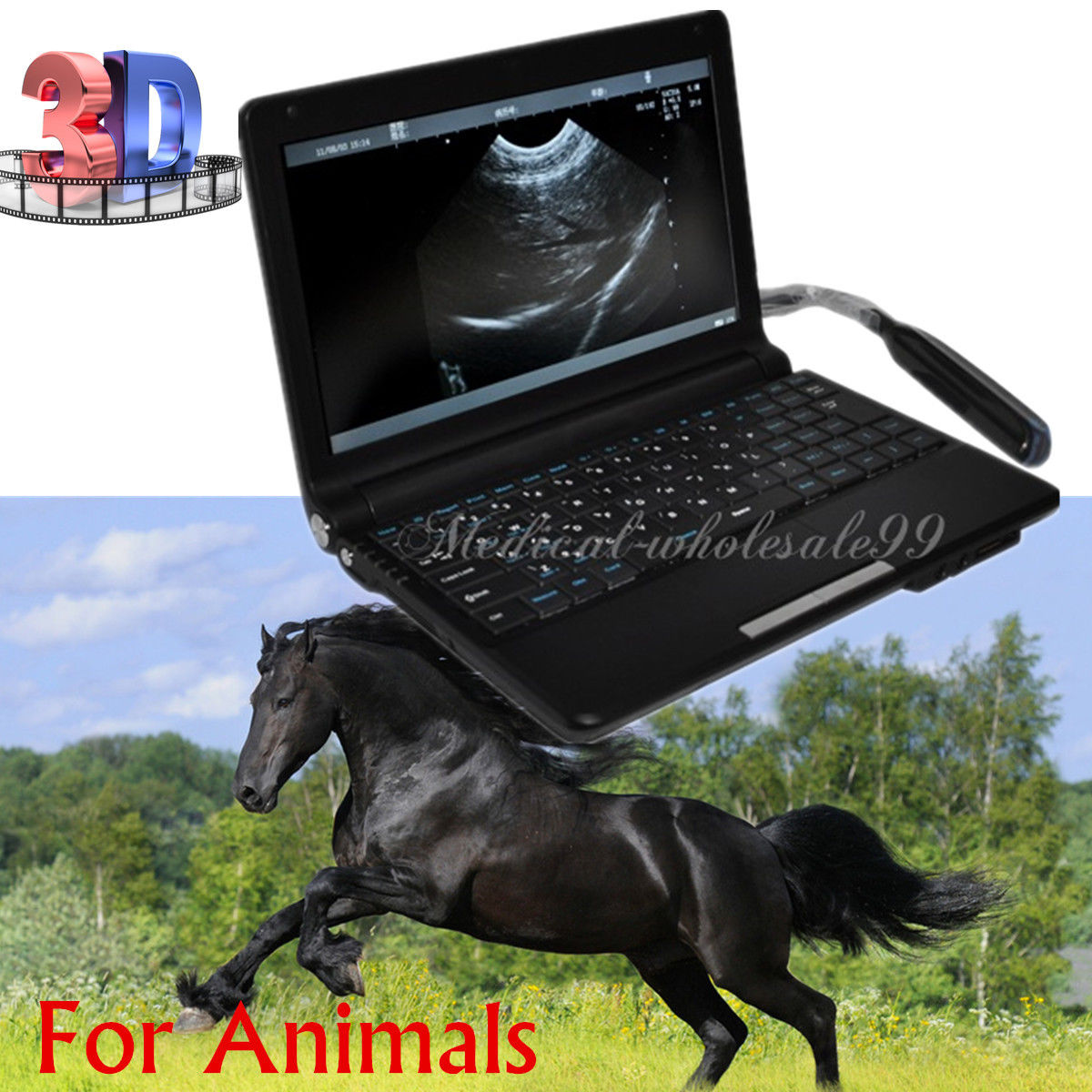 Ultrasound Scanner machine Rectal Probe 3D Laptop Machine Digital Veterinary AA 190891879431 DIAGNOSTIC ULTRASOUND MACHINES FOR SALE