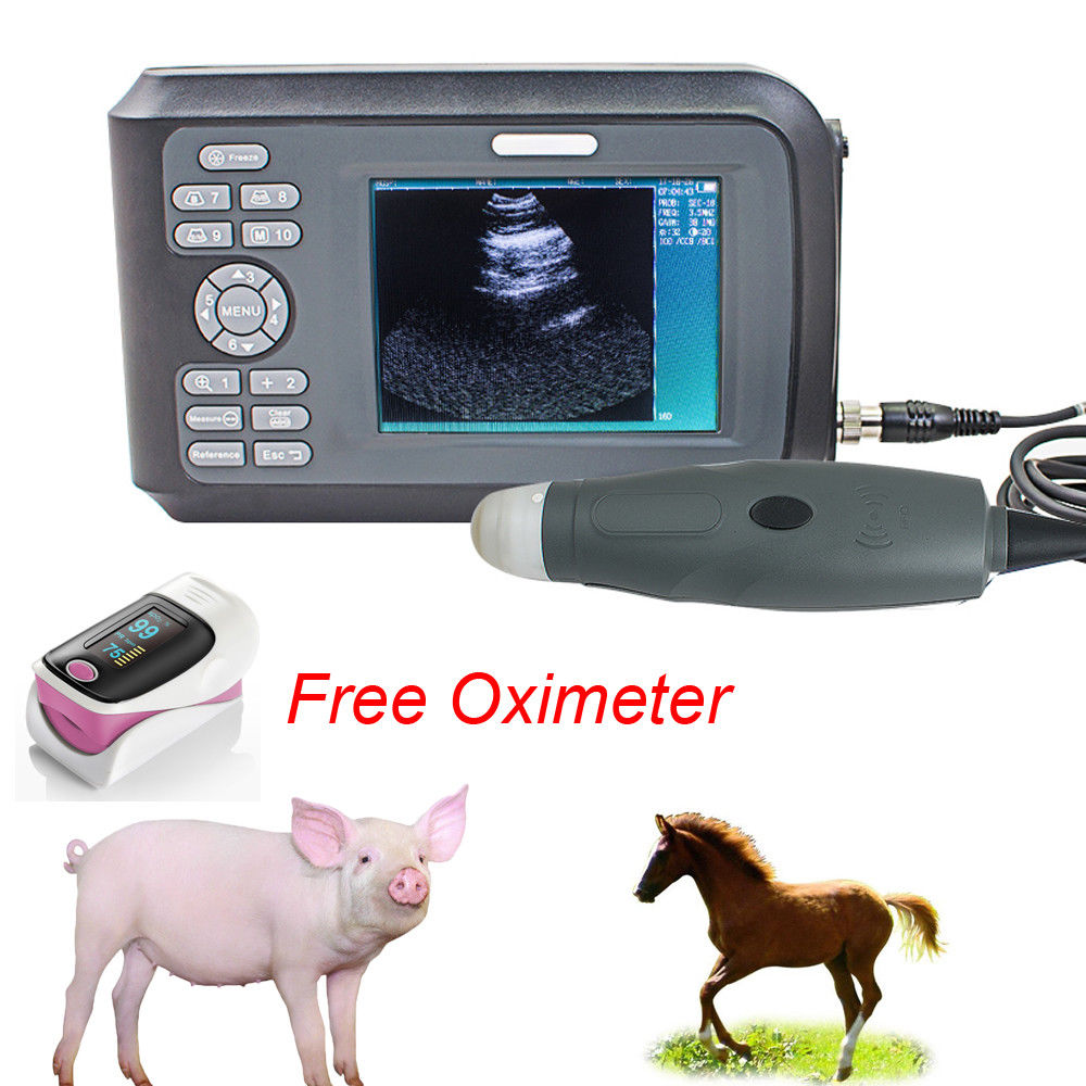 【USA】Veterinary Ultrasound Scanner  Rectal Probe For Pig Dog Pregnancy+ GIFT 190891468284 DIAGNOSTIC ULTRASOUND MACHINES FOR SALE
